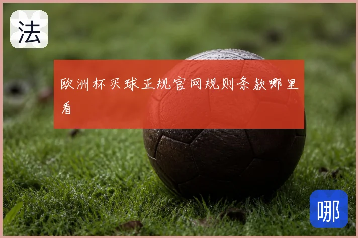 欧洲杯买球正规官网规则条款哪里看