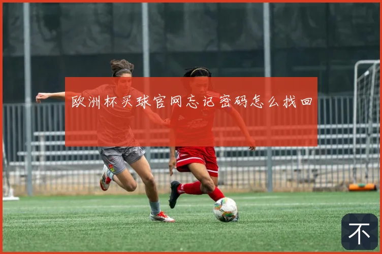 欧洲杯买球官网忘记密码怎么找回