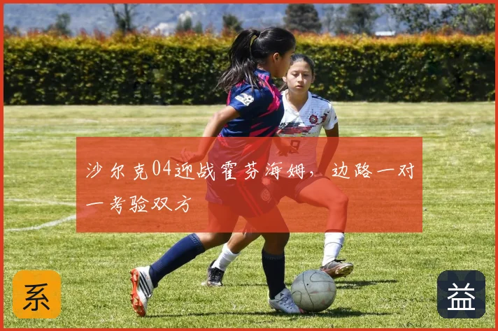 沙尔克04迎战霍芬海姆,边路一对一考验双方