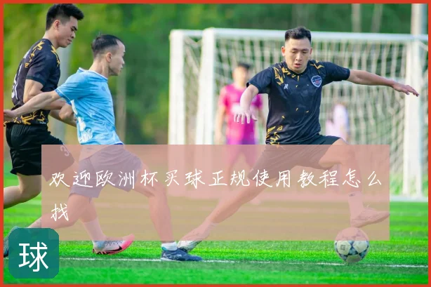 欢迎欧洲杯买球正规使用教程怎么找